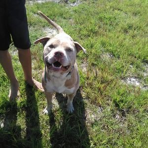 Meet your Posher, Crystal